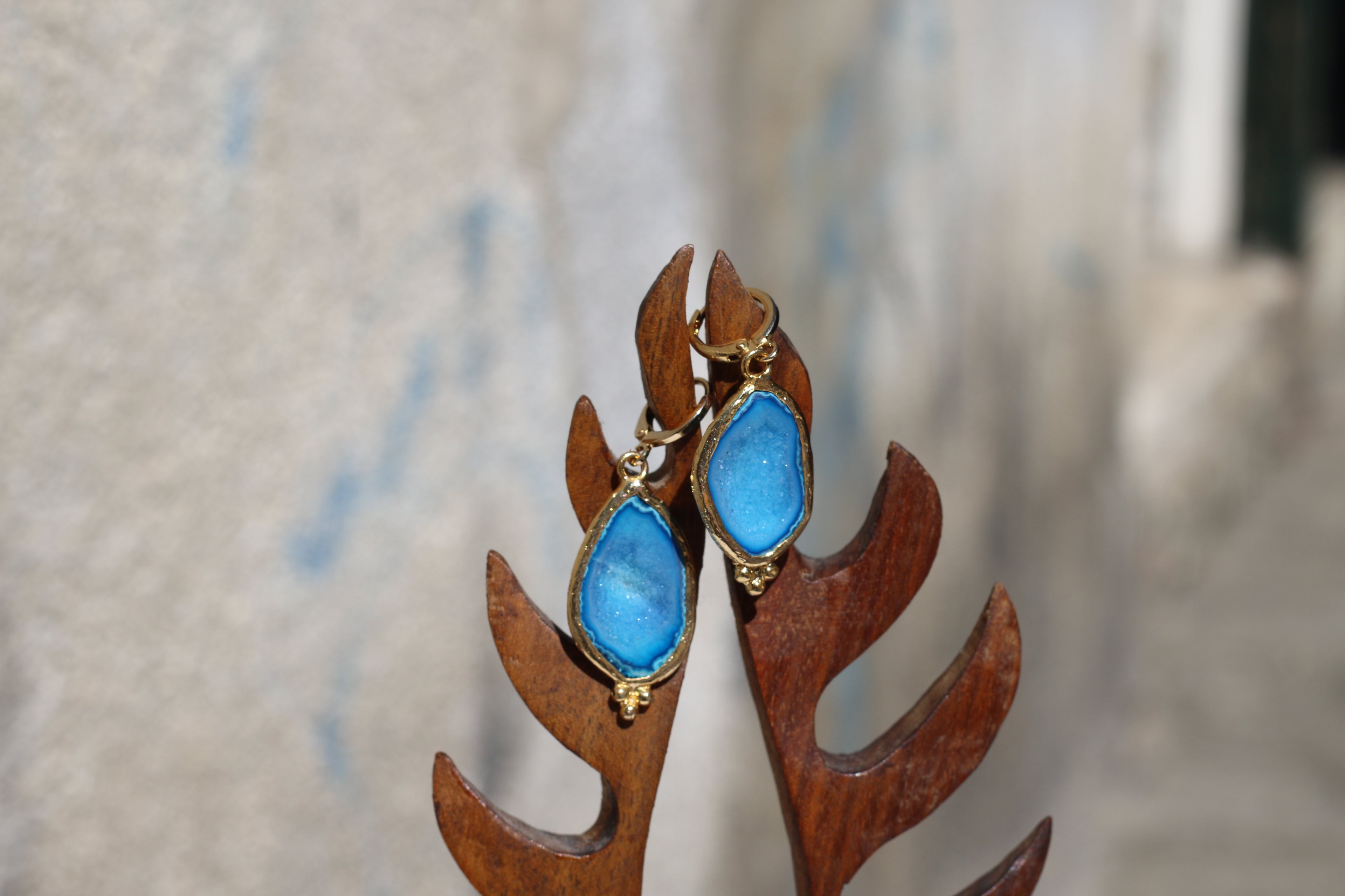 Ocean Fossil Agate Earrings