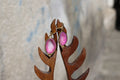 Rose Fossil Agate Earrings