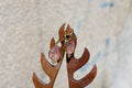 Fossil Agate Earrings
