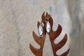 Dendrite Agate Earrings