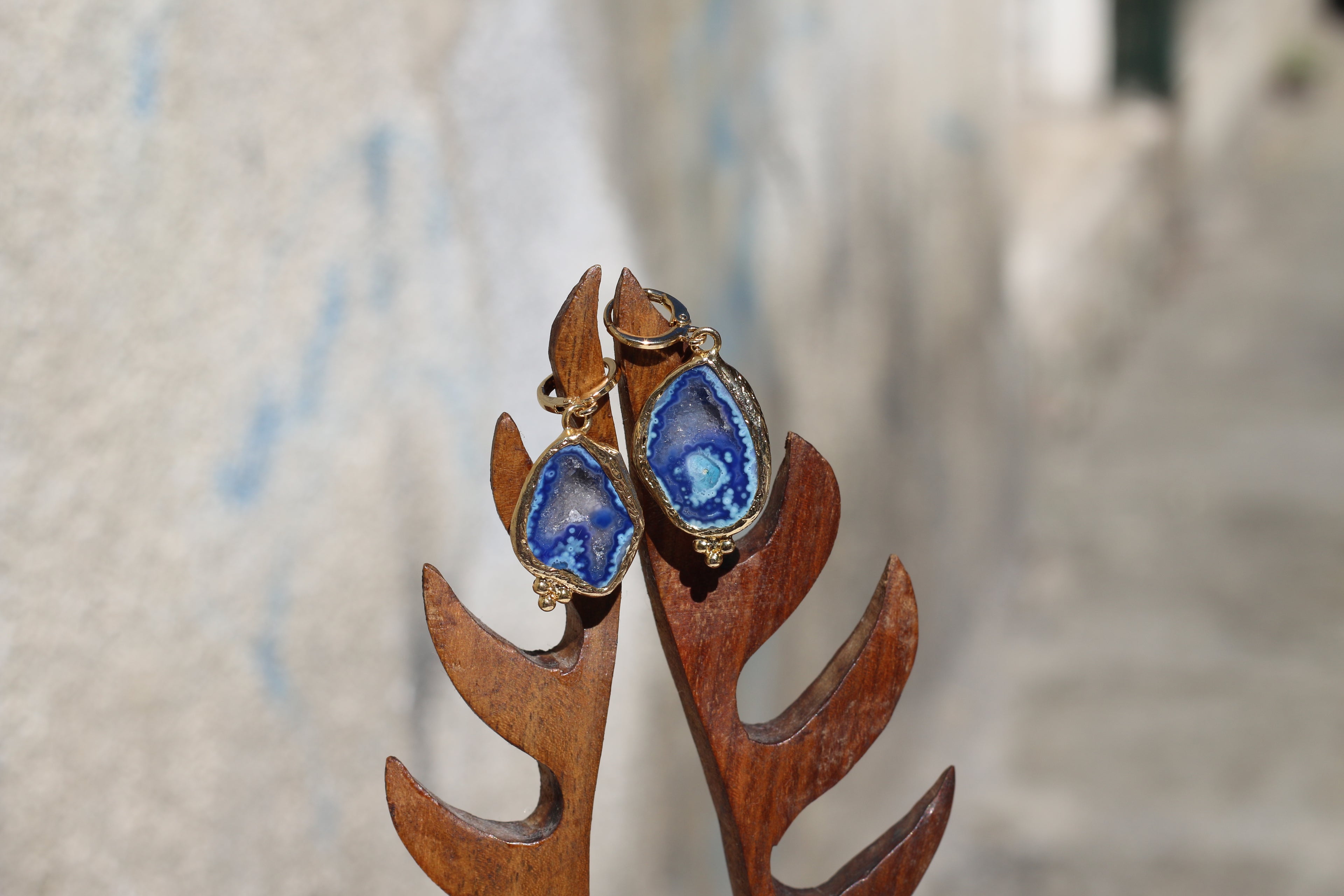 Fossil Agate Earrings