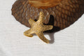 Starfish Bracelet Gold