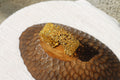 Corallo Bracelet Gold