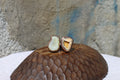 Fossil Agate Copper Ring